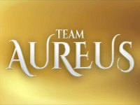 Статистика Team Aureus