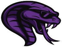 Статистика Team Cobra