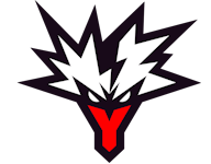 Статистика Team Yandex