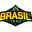 Team Brasil