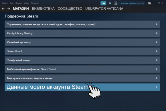       Steam      -  